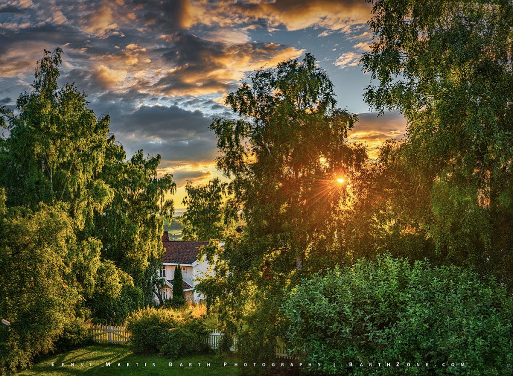 Garden Sunset