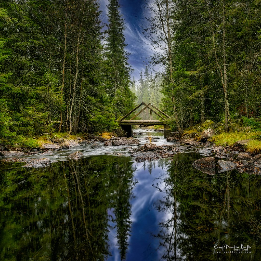 Wooden bridge