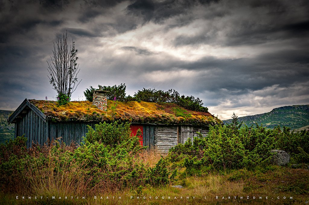 Lost cabin