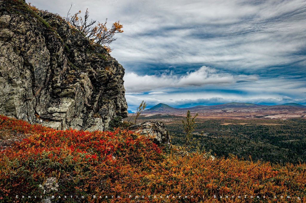 Autumn - Venabygdfjellet