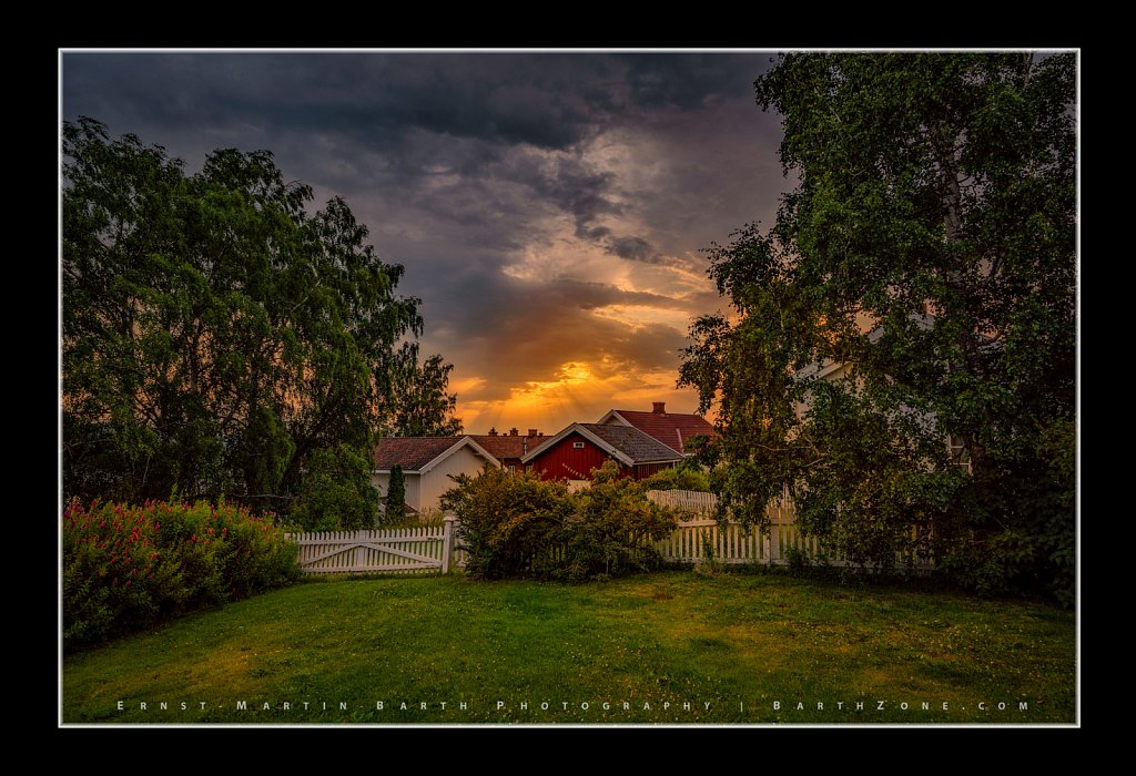 Evening Light in the Garden